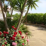 Sitrie Bed and breakfast