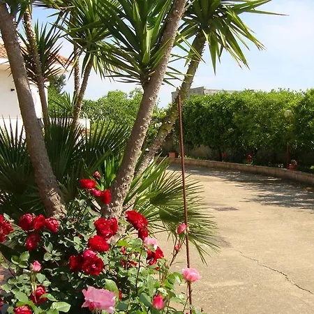 Sitrie Bed and breakfast